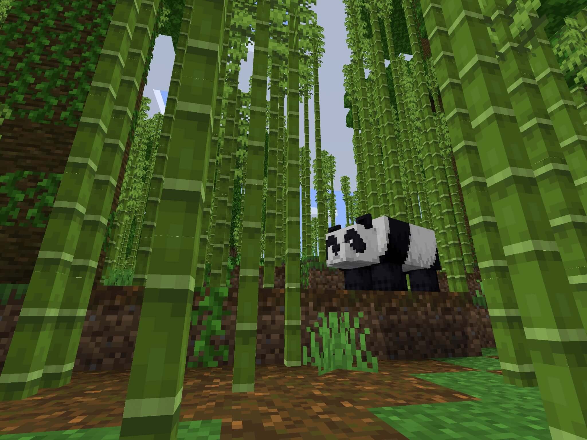 1959330209 Бамбуковый биом с пандами скриншот 1