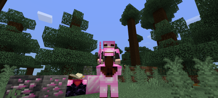 Pink Dye: Minecraft Pocket Edition: CanTeach