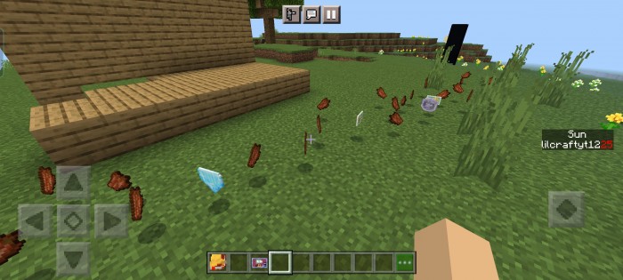 Plants vs Zombies 2 for Minecraft Pocket Edition 