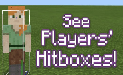 Player Hitbox Display screenshot 1