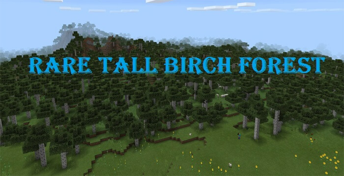 432666080: Rare Tall Birch Forest скриншот 1