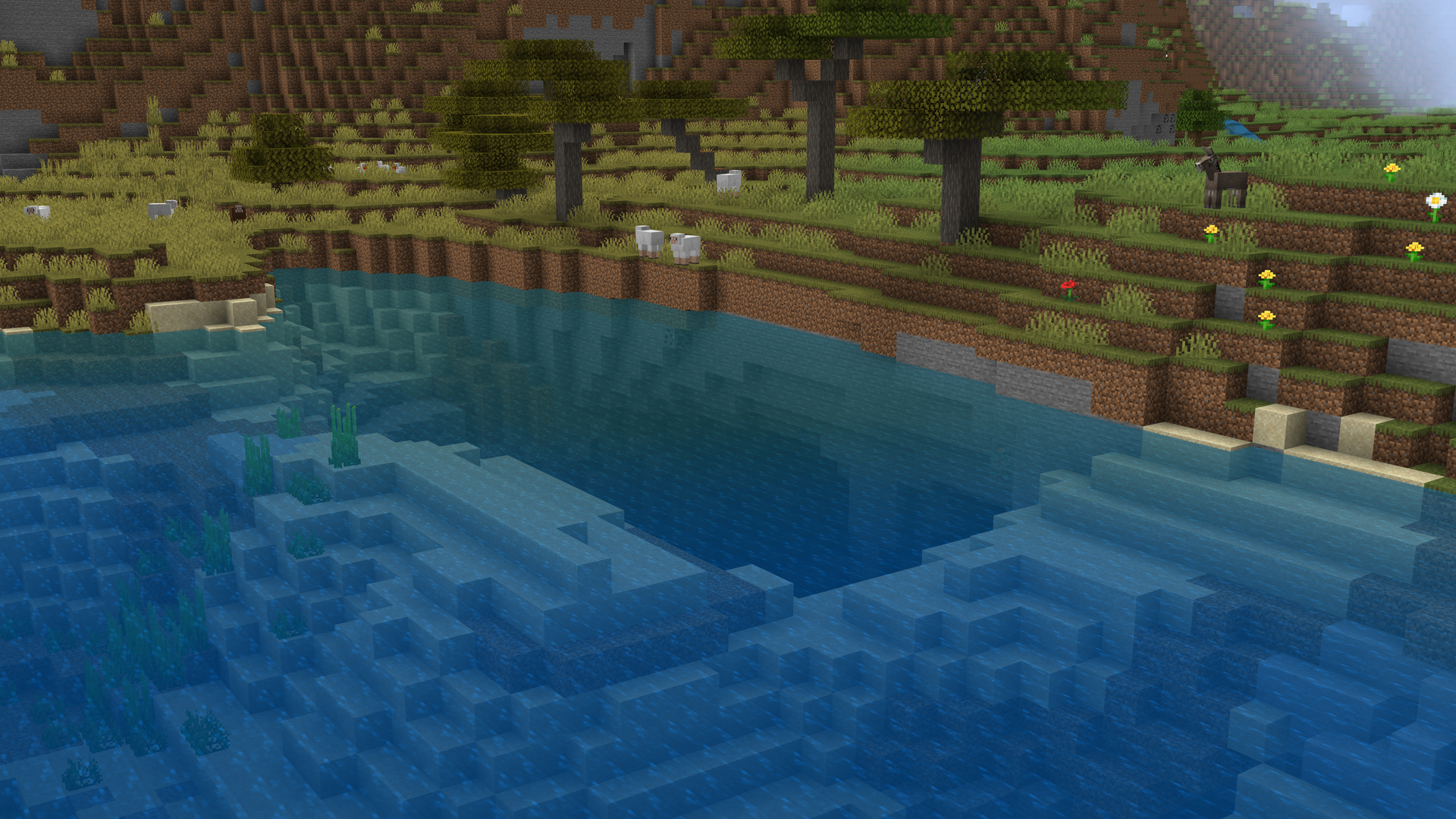 Environmental Water screenshot 1