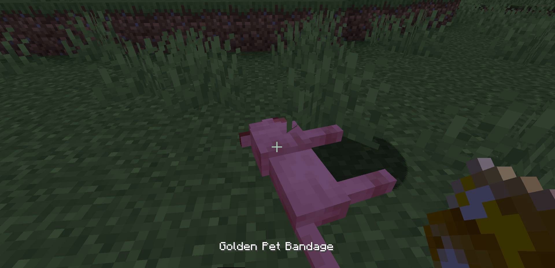 Save Your Pets screenshot 2