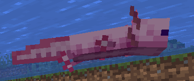 Axolotl in Minecraft 1.17 screenshot 3
