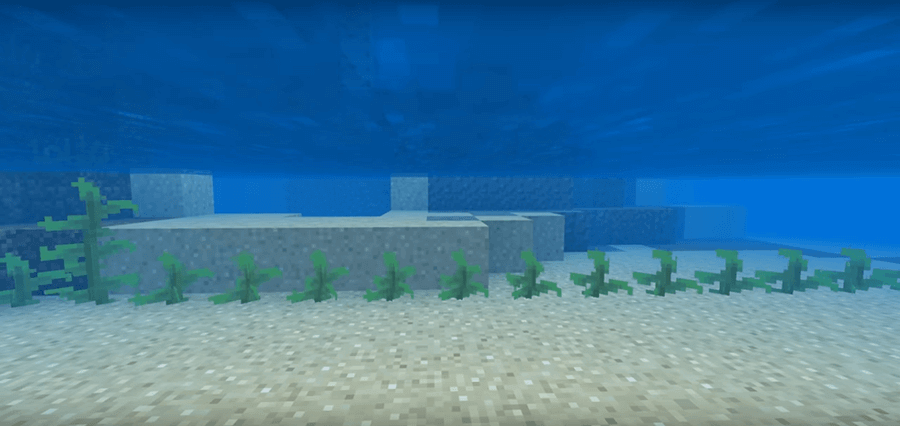 Seagrass in Minecraft 1.6
