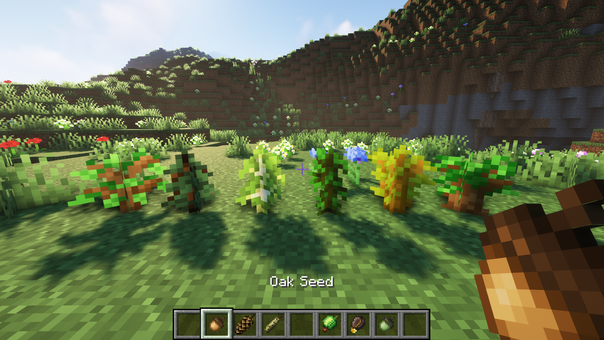 Tree Seeds screenshot 3