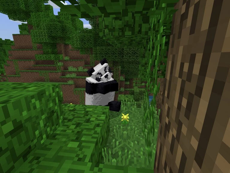 Panda Spotting  screenshot 3