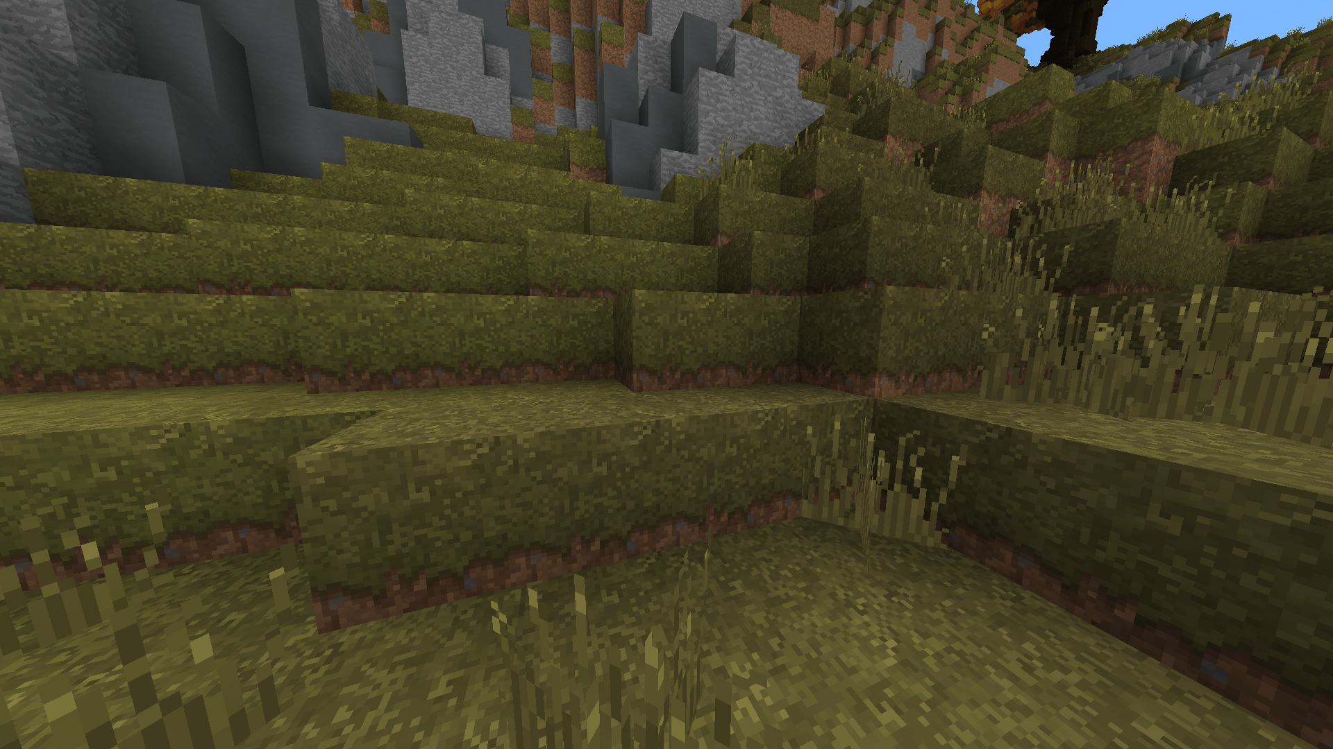 Minecraft textures 1.16 5. Ресурс пак 1.16.5. Трава майнкрафт 1.16. Майнкрафт 1.16.5 текстур пак маленькая трава. Текстур пак на блок травы 1.12.2.