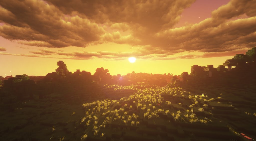Sunflawer screenshot 1