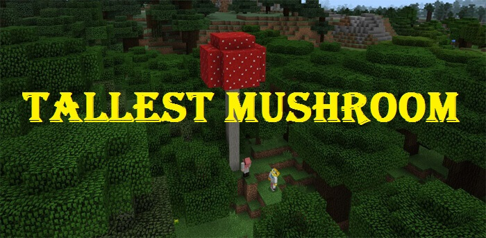 533763325: Tallest Mushroom скриншот 1