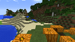 Minecraft с текстур-паком