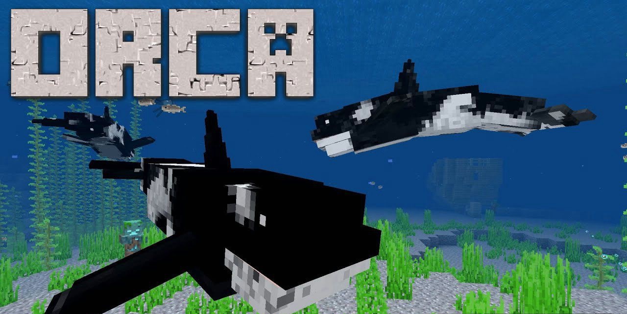 Orca / Killer Whale screenshot 1