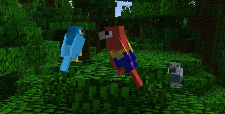 Minecraft birds. Птица в МАЙНКРАФТЕ. Мод на попугаев в майнкрафт. Попугай в Майне. Мод на птиц в майнкрафт.
