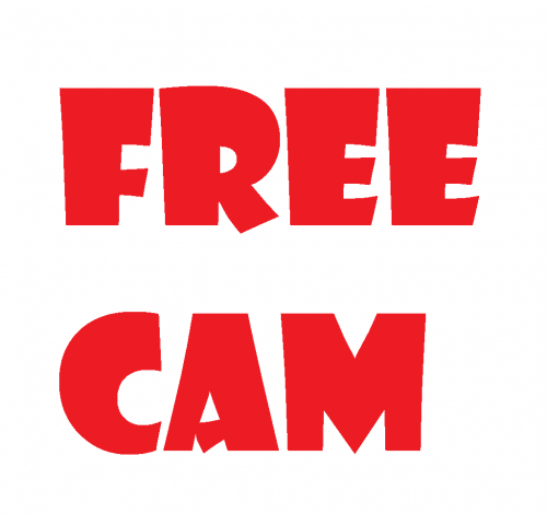 FreeCam 1.16.1 скриншот 2