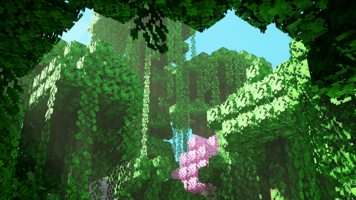 Trees Plus+ screenshot 3