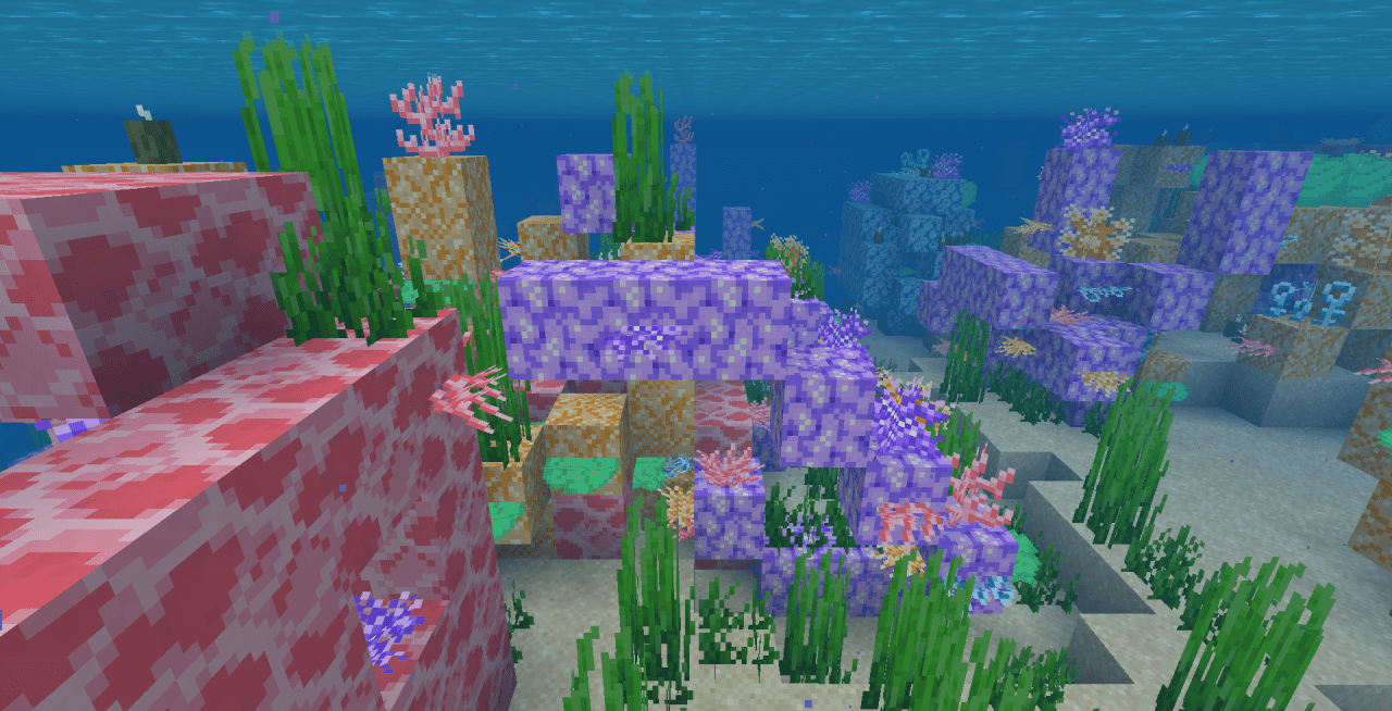 Tropical Coral screenshot 3