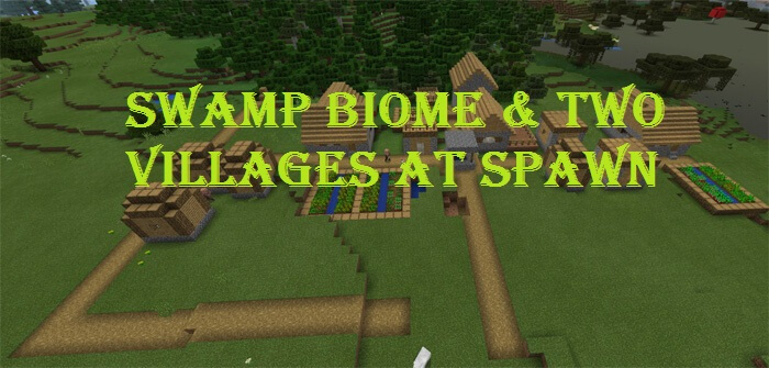Swamp Biome & Two Villages At Spawn скриншот 1