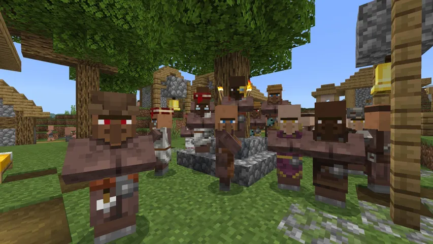 Villager Variety screenshot 2