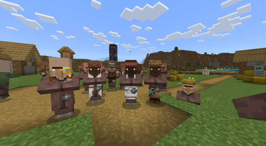 Villager Variety screenshot 3