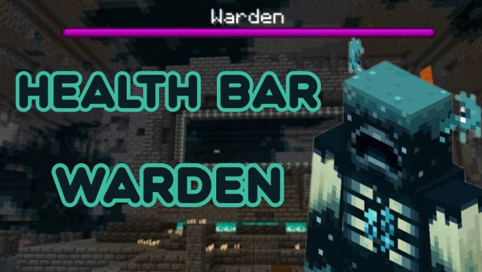 Warden Health Bar screenshot 1