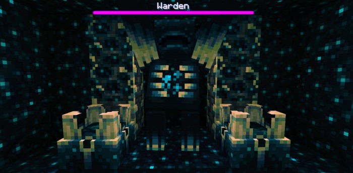Warden Health Bar screenshot 3