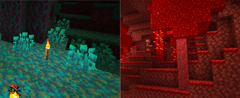 Crimson and Warped Nylium in Minecraft 1.16