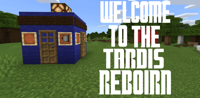 Welcome To The Tardis REBORN screenshot 1