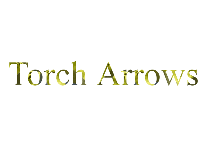 Torch Arrows скриншот 1
