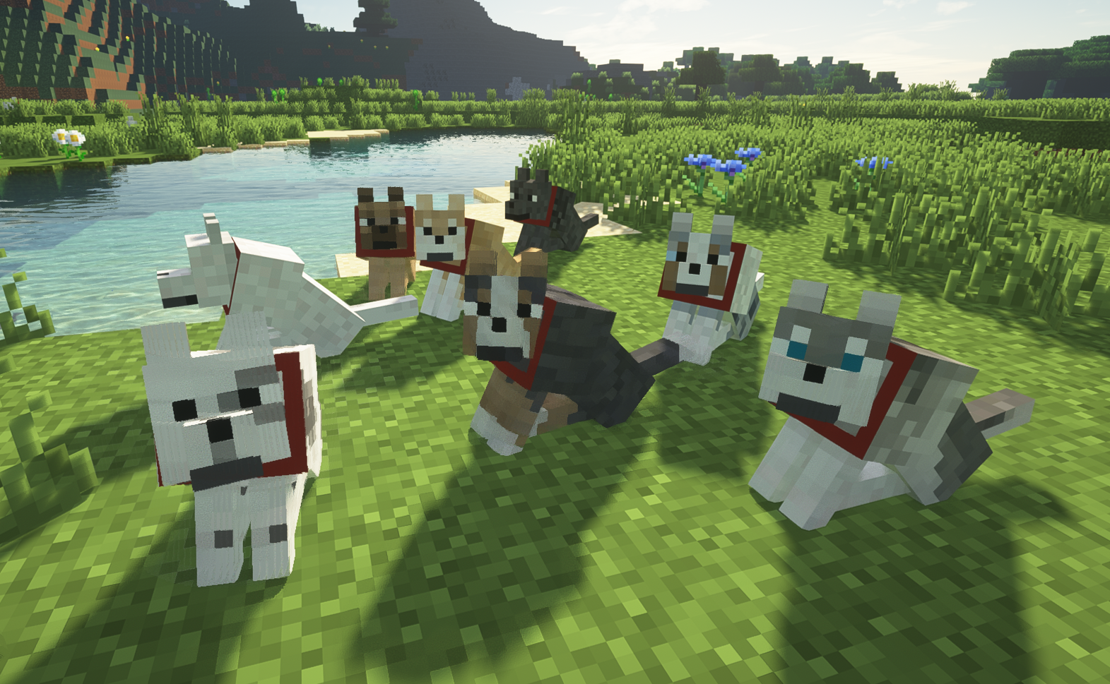 Better dogs for Minecraft 1.16.3